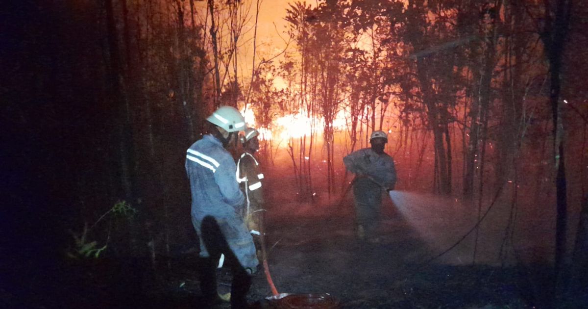 Ilustrasi pemadaman karhutla (Foto/dok./BNPB)